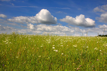 Similar image 427788