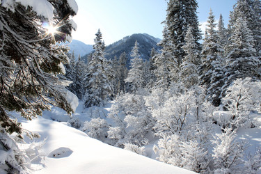 Similar image 427818