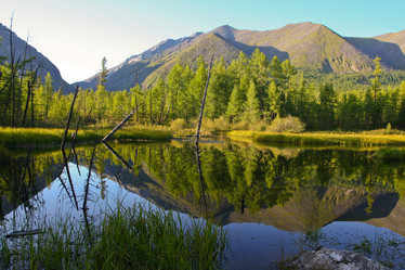 Similar image 427825