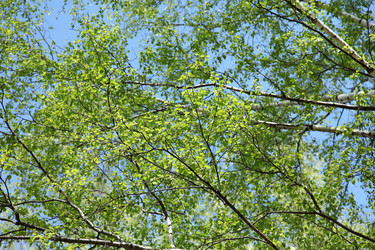 Similar image 427829