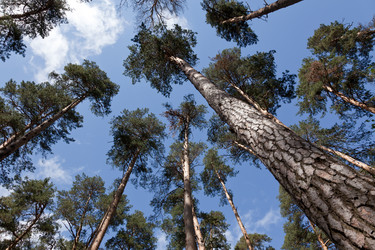 Similar image 427833