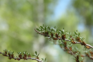 Similar image 427836