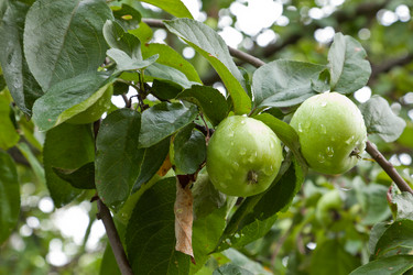 Similar image 427839