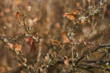 Similar image 427846