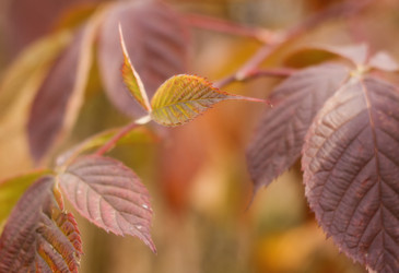 Similar image 427848