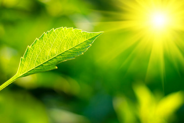 Similar image 427863