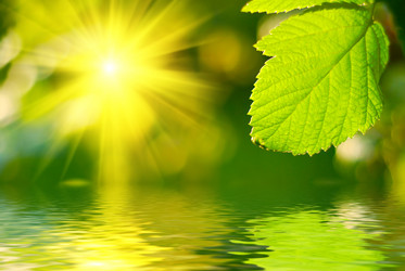 Similar image 427867