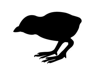 Similar image 427958