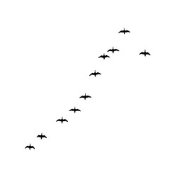 Similar image 428061