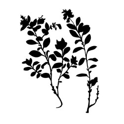 Similar image 428071