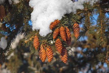 Similar image 428078