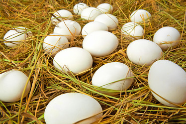 Similar image 428149