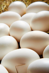 Similar image 428152