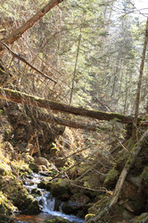 Similar image 428223