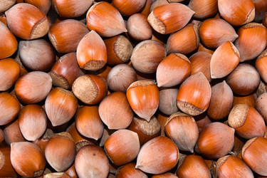 Similar image 428279