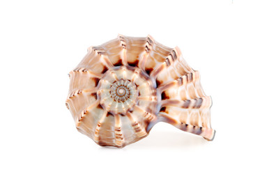 Similar image 428367