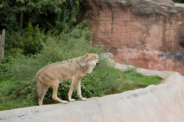 Similar image 428463