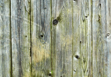 Similar image 428478