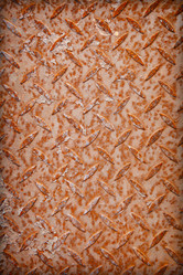 Similar image 428486