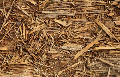 Similar image 428588