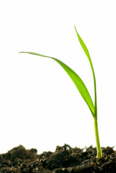 Similar image 428601