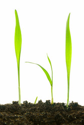 Similar image 428614