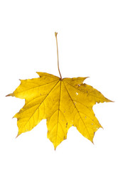 Similar image 428625