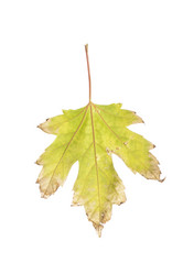 Similar image 428630