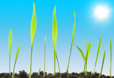 Similar image 428646