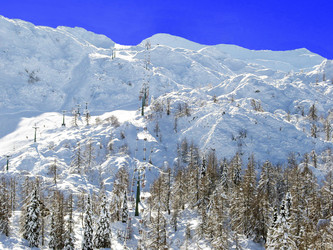 Similar image 428691