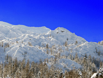 Similar image 428692