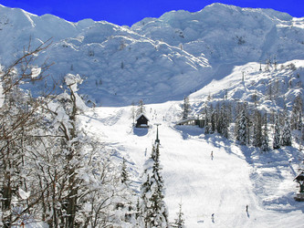 Similar image 428696