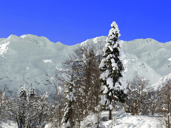 Similar image 428697