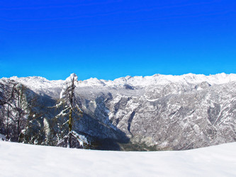 Similar image 428705