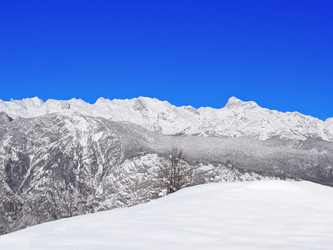 Similar image 428706