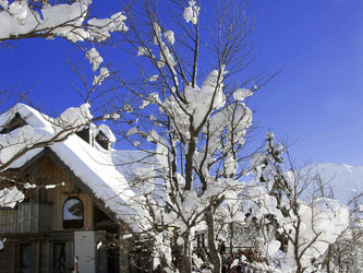 Similar image 428712