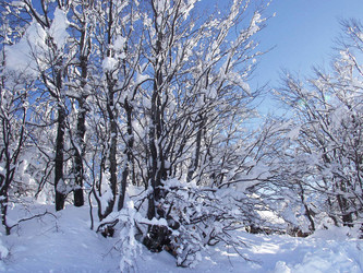 Similar image 428714