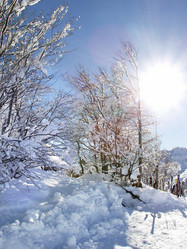 Similar image 428716