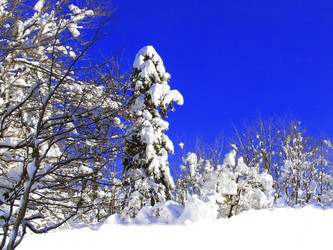 Similar image 428718