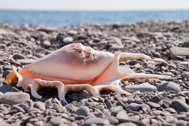 Similar image 428721