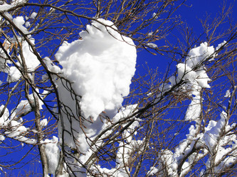 Similar image 428734