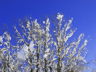 Similar image 428736