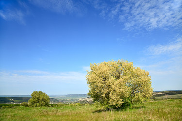 Similar image 428801