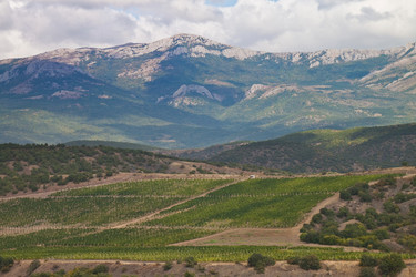 Similar image 428824