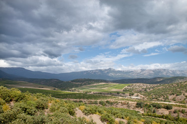 Similar image 428825