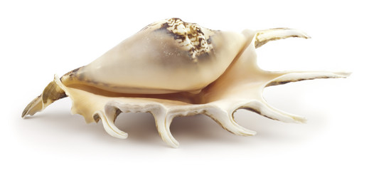 Similar image 428848