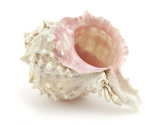 Similar image 428849