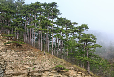 Similar image 428864