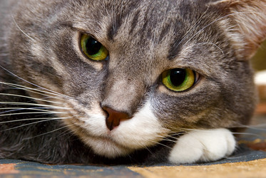 Similar image 428897