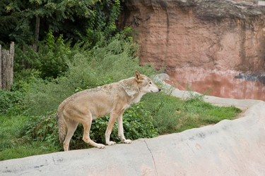 Similar image 428914